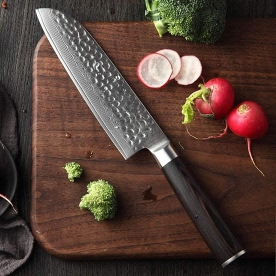 Professional Santoku Knife in 67-Layer Damascus Steel