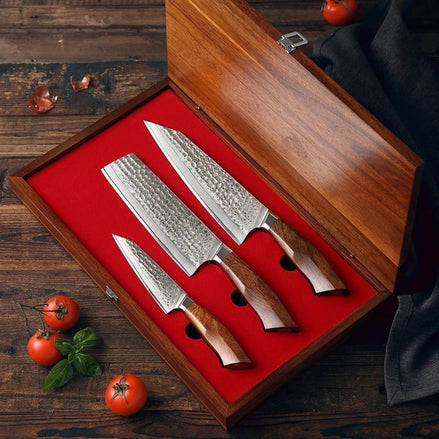 Damascus Steel Kitchen Knives Set with SRS13 Core