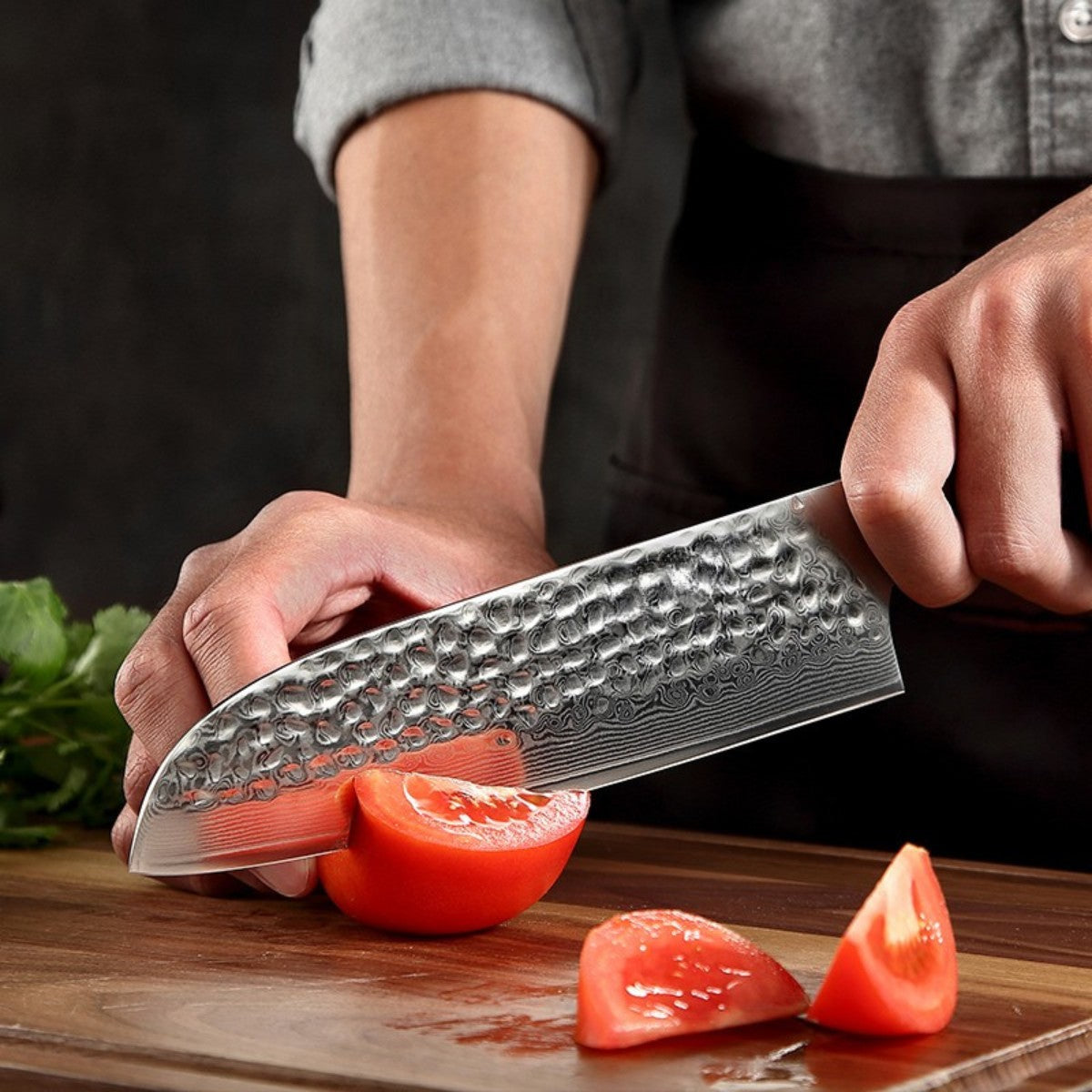 7'' Santoku Knife in 67-Layer Damascus Steel with Desert Ironwood Handle