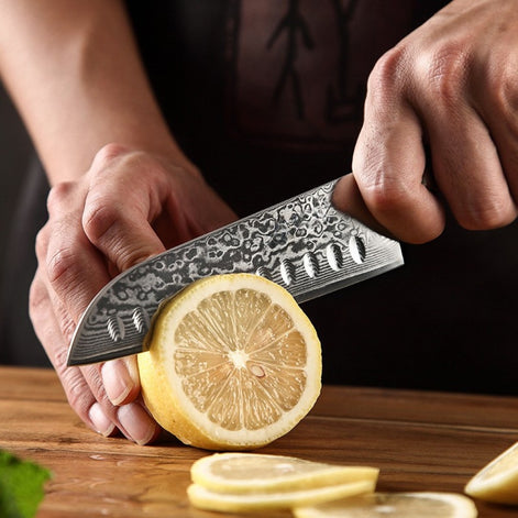 5″ Santoku Knife in 67-Layer Damascus Steel with Rosewood Handle