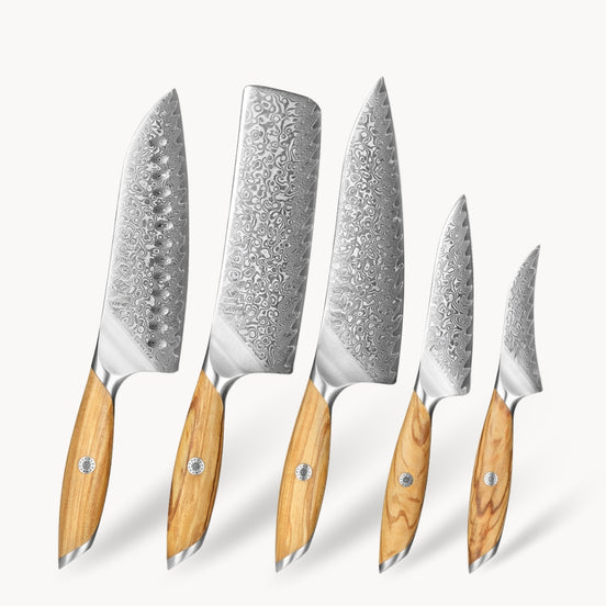 Premium 5-Piece Kitchen Knives Set in 73-Layer Damascus Steel with Olive Wood Handle
