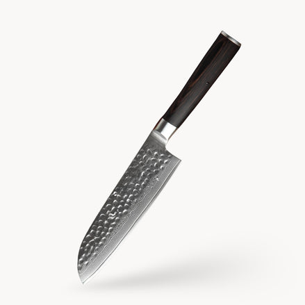 Professional Santoku Knife in 67-Layer Damascus Steel