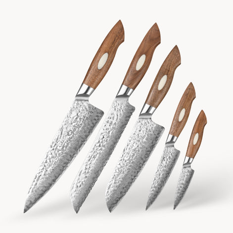 5-Piece Damascus Steel Knives Set with AUS10 Core