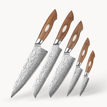 5-Piece Damascus Steel Knives Set with AUS10 Core
