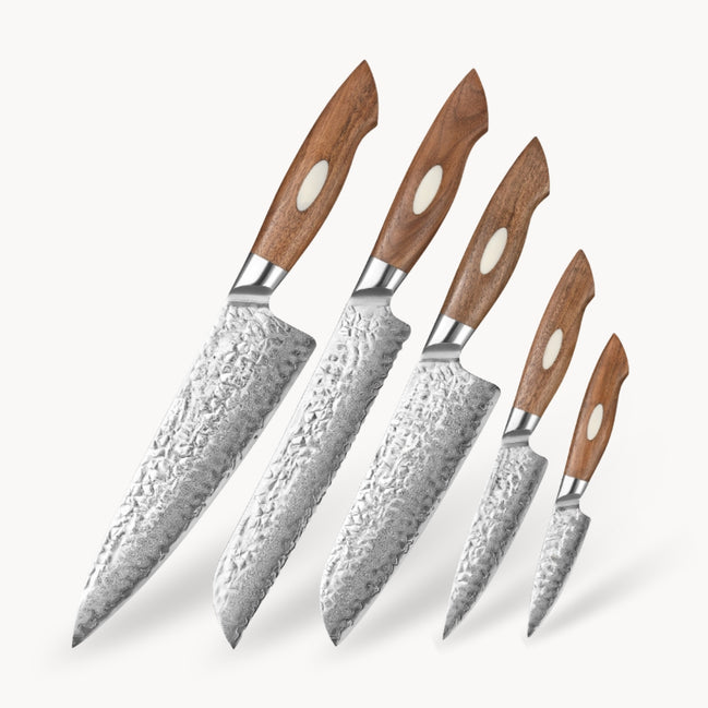 5-Piece Knife Set — AUS-10 Stainless Damascus Steel | Structured Foundation