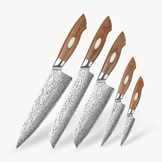 5-Piece Damascus Steel Knives Set with AUS10 Core